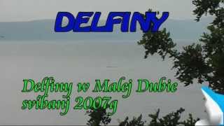 Delfiny  Mala Duba  maj 2007 [upl. by Engelhart361]