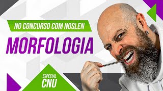 CNU  Morfologia  Professor Noslen professornoslen cnu2024 [upl. by Emilia594]