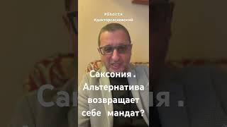 Саксония Авантюра власти против АДГ может провалиться новости докторсосновский shorts германия [upl. by Noam773]