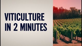 Viticulture in 2 Minutes [upl. by Rip376]