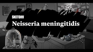 Neisseria Meningitidis Meningitis Causes amp Prevention Part 1  Sketchy Medical  USMLE Step 1 [upl. by Amethyst446]