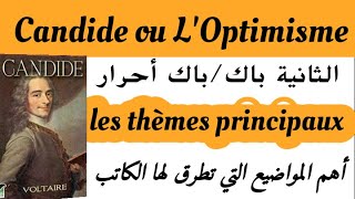 Candide ou LOptimisme les thèmes principaux de Candide2bac et bac libre كنديدVoltaire [upl. by Hefter273]