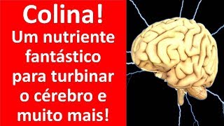 Colina um nutriente fantástico para turbinar o cérebro e muito mais  Dr Marco Menelau [upl. by Rinna]