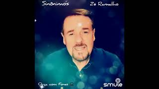 Sinônimos 💘 Zé Ramalho 💘 Zeramalho [upl. by Wack]