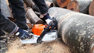 stihl ms 362 in beech wood [upl. by Andrea]