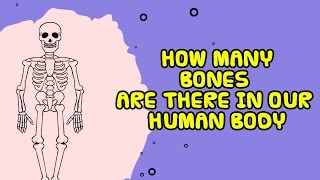 What area of the human body contains the most bones Answer [upl. by O'Neill7]