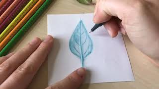 How to make a leaf rubbing [upl. by Adierf]