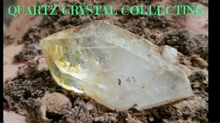 Quartz Crystal Digging Virginia 2015 [upl. by Higinbotham]