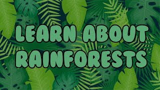 What are Rainforests ┃Learn about Rainforests for Kids 🌳🌎 [upl. by Bil]