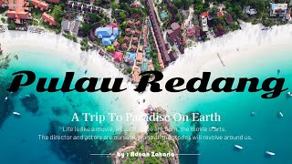 Pulau Redang 4D3N Full Story Trip Kg Redang  Long Beach  Snorkeling With NemoTurtleampSharks [upl. by Oigolue20]