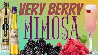 The Perfect Brunch Cocktail  Berry Mimosa Recipe [upl. by Colas36]