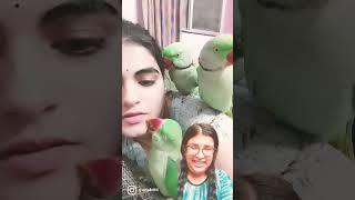 Ignore prank on parrot 🤭🤭❤️ [upl. by Martine]