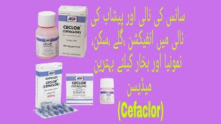 Ceclor TabletampSyrupampDrops CefaclorUses Benefits ampSideeffect in UrduHindi  How to use Cefaclor [upl. by Marven442]