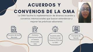 Organización Mundial de Aduanas OMA [upl. by Aseretairam]