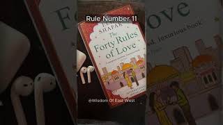 40 Rules Of Love By Elif Shafak What I Learned from Rule No11 youtubeshorts elifshafak love [upl. by Nalorac]