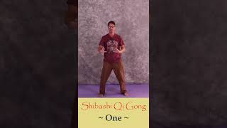 Taiji Shibashi Qi Gong Course [upl. by Arimahs]