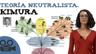 Teoría neutralista de Kimura [upl. by Llehsem]