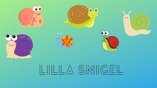 🎵 BARNSÅNGER PÅ SVENSKA 🎵  Lilla snigel  BarnaTV [upl. by Thoer]