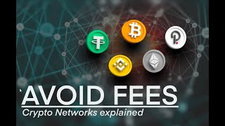 Crypto Networks Explained  Avoid Fees [upl. by Holtorf832]