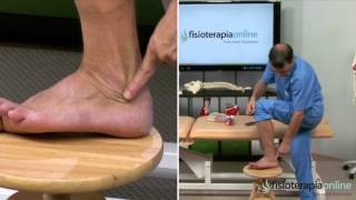 Tratamiento de la tendinitis de los peroneos  Fisioterapia Bilbao [upl. by Eigger144]