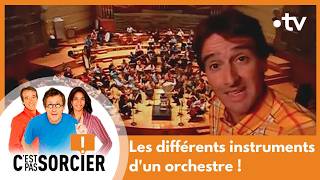 Les différents instruments dun orchestre   Cest pas sorcier Intégrale [upl. by Enelime]