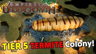 LIVE  Can my TERMITES Beat 53 on IMPOSSIBLE RELEASE DAY  Empires of the Undergrowth 10 Gameplay [upl. by Wolfy]