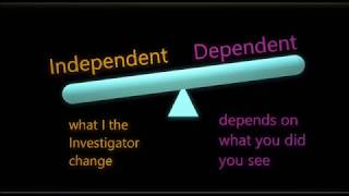 Independent Dependent and Controlled Variables Song 5 MIN [upl. by Stokes]