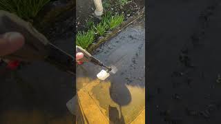 Drivewaypatio power wash powerwashing jetwash chemical uk work saturday landscaping [upl. by Newel]