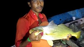 mangrove fishing Pakistan part 1 [upl. by Gal168]