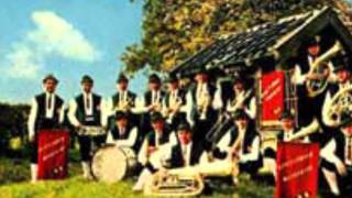 riestelander muzikanten margraten festwies polka [upl. by Barron276]