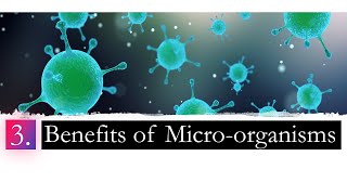 What are the Advantages of Microorganisms  quotMicroorganisms  Part 3quot [upl. by Iman418]