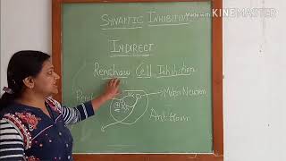 Physiology of synaptic inhibition [upl. by Rome]