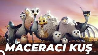 Maceracı Kuş Yellowbird Animasyon Filmi  Full Film İzle [upl. by Morrie725]