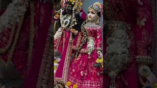 Ek taraf sawale se kanha shortsvideo love krishnastatus krishnalove [upl. by Pouncey]