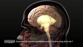 La transformation du cerveau au fil de la vie [upl. by Ginelle921]