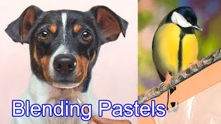 Most Important Tips for Blending Pastel Pencil  PanPastel [upl. by Bronnie]