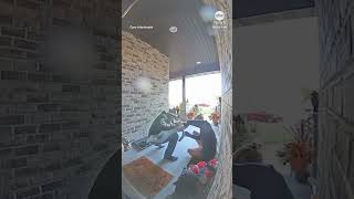 Neighbor seen on doorbell camera saving child from choking [upl. by Farika]