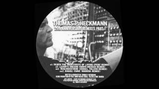 Thomas P Heckmann  Learys Dream David Meiser Remix [upl. by Talya478]