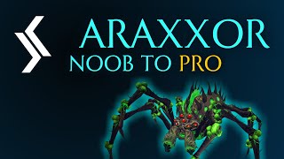 Rax Noob To Pro  Araxxor Solo Guide Ranged  RuneScape 3 [upl. by Nitfa67]