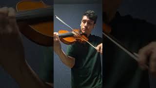 A don Amancio 🎻🔥 chacarera violin folkloreargentino [upl. by Eneirda]