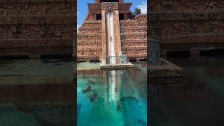 SHARK TANK WATERSLIDE 🦈😱 shark waterslide atlantis bahamas scary shorts shocking paradise [upl. by Bolanger261]