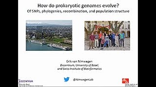 Erik van Nimwegen Prokaryotic genome evolution [upl. by Araes]