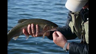 Grafham Waters fabulous Bank Fly Fishing  November 2019 [upl. by Notecnirp]