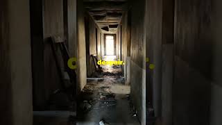 The Haunting Echoes of Pennhurst Asylum [upl. by Nadda]