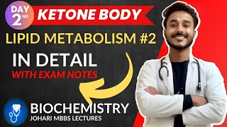 ketone body biochemistry  ketone body metabolism  utilization of ketone bodies  ketogenesis [upl. by Jameson]