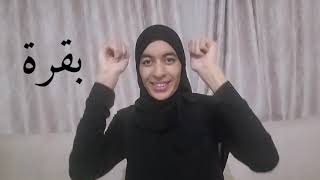 حرف ب  إشارة بقرة بلغة الإشارات التونسية  الحروف الإصبعية العربية [upl. by Kippar]