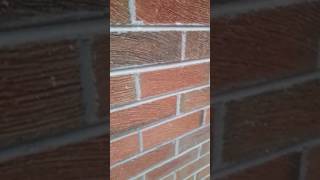 Brick Water Sealing Treatment [upl. by Goodill]