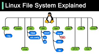 Linux File System Explained [upl. by Center785]