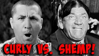 CURLY VS SHEMP Three Stooges MARATHON  Over 4 12 HOURS  Classic 3 Stooges [upl. by Schaaff]