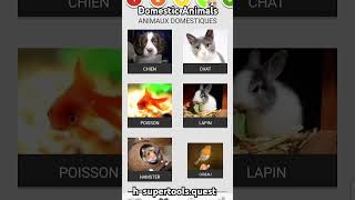 Learn domestic animals in French for beginners Animaux domestiqueslearnfrench [upl. by Keithley]